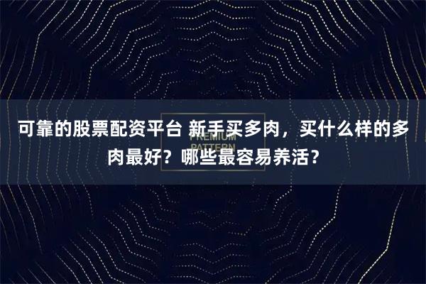 可靠的股票配资平台 新手买多肉，买什么样的多肉最好？哪些最容易养活？
