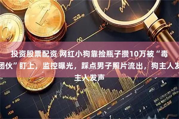 投资股票配资 网红小狗靠捡瓶子攒10万被“毒狗团伙”盯上，监控曝光，踩点男子照片流出，狗主人发声